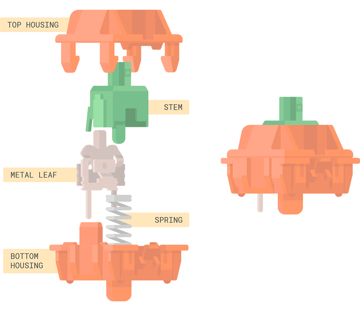 The anatomy of a Cherry MX style switch